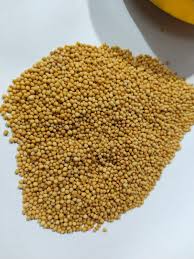 OLTYMES MUSTARD SEEDS 400G