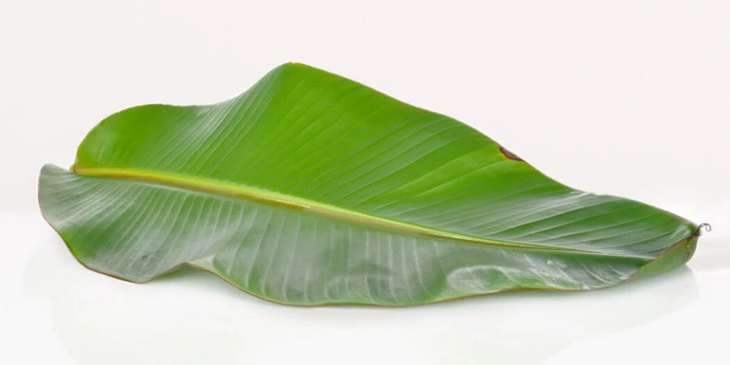 BANANA LEAVES EACH